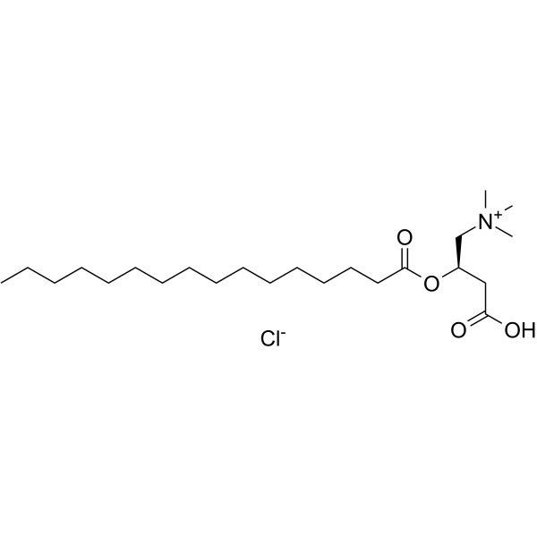 L-Palmitoylcarnitine chloride 18877-64-0